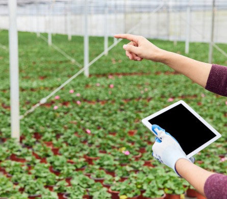 image_1711013033_8675