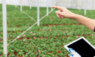 首页| CA88集团中国唯一官方网站