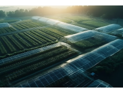 首页| CA88集团中国唯一官方网站